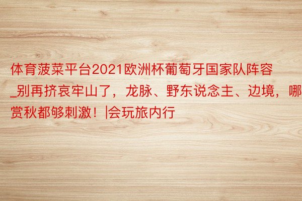 体育菠菜平台2021欧洲杯葡萄牙国家队阵容_别再挤哀牢山了，